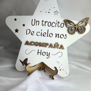 UN TROCITO DE ESTRELLA REF 2018
